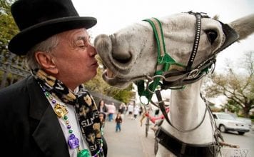 Carriage Rides • NOLA