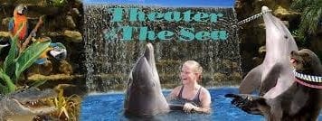 Theater of the Sea • Islamorada
