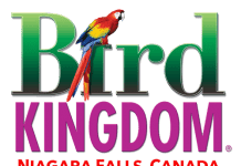 Bird Kingdom • Niagara Falls, Canada