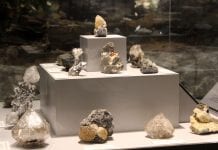 New York State Museum • Albany, NY