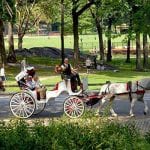 Central Park, Strawberry Fields, Carriage Rides • NYC