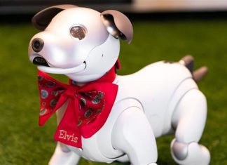 Resorts World Las Vegas • Robotic Puppies’ Welcome