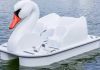 Swan Boats – Providence, R.I.